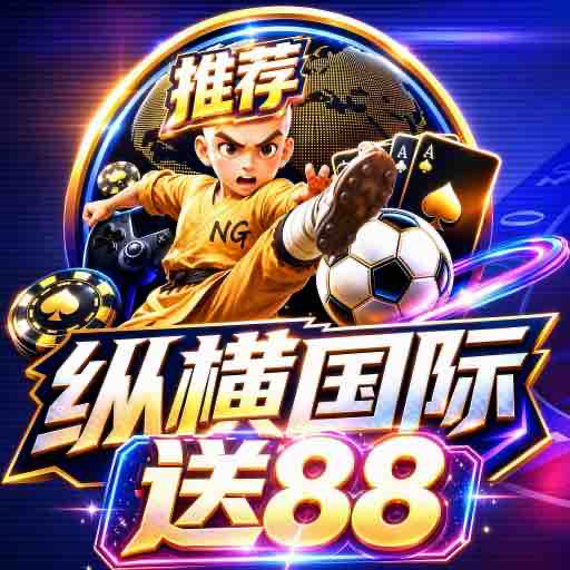 纵横国际